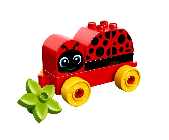 Immagine della coccinella assemblata
