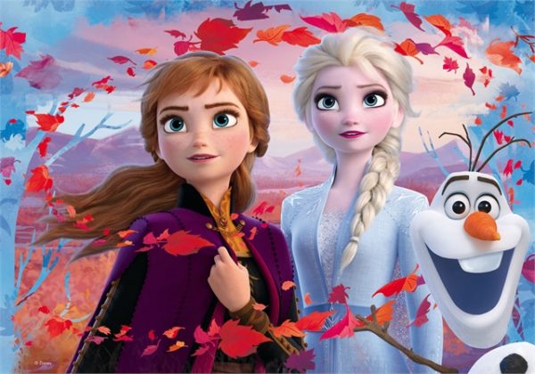 Immagine a colori del puzzle montato