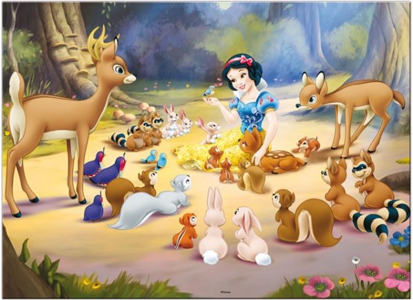 Immagine a colori del puzzle montato