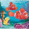 Immagine a colori del puzzle montato