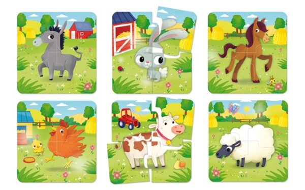 foto dettagliata dei sei puzzle contenuti nella scatola