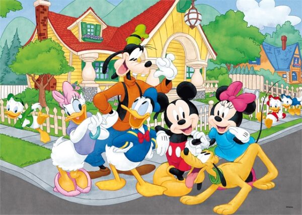 immagine a colori del puzzle assemblato.