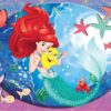 immagine a colori del puzzle assemblato.